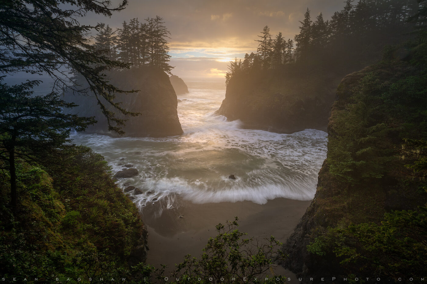 Photography in the Digital Age